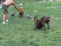 processed/ca5b0352-2798-46f8-96df-d7cffa28f488/facility/e885f745-0a0d-4752-a465-b60cce096314