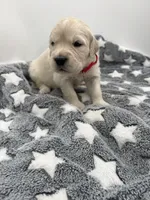 processed/ca61e9e8-a836-4b57-af05-270533d144a5/listing/06e61bc2-2e37-47cc-bc1c-af46d6262336/28bbbcde-c709-4646-8ff9-4a0c69048f65