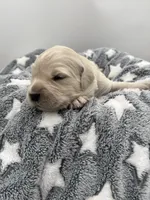 processed/ca61e9e8-a836-4b57-af05-270533d144a5/listing/06e61bc2-2e37-47cc-bc1c-af46d6262336/2dbc6ebd-1db5-43c1-8619-36e1592c0284