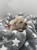 processed/ca61e9e8-a836-4b57-af05-270533d144a5/listing/06e61bc2-2e37-47cc-bc1c-af46d6262336/5b7da749-d249-4548-8b88-ec0e0cede6e4