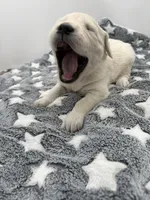 processed/ca61e9e8-a836-4b57-af05-270533d144a5/listing/08fb7902-d32a-4769-8d61-06f0521a8006/10c3acce-9daa-498c-b33f-b0f4a9f737b8