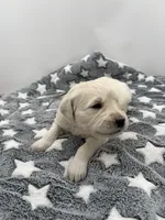 processed/ca61e9e8-a836-4b57-af05-270533d144a5/listing/08fb7902-d32a-4769-8d61-06f0521a8006/3b406aca-575c-4bf8-b7f5-b6809ac66ad3