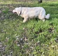 processed/ca61e9e8-a836-4b57-af05-270533d144a5/listing/08fb7902-d32a-4769-8d61-06f0521a8006/8e0169ed-993f-4075-9b34-fc15621c063a