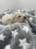 processed/ca61e9e8-a836-4b57-af05-270533d144a5/listing/08fb7902-d32a-4769-8d61-06f0521a8006/ce969a5d-840d-4a34-84b8-70872a6f97c3