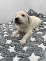 processed/ca61e9e8-a836-4b57-af05-270533d144a5/listing/08fb7902-d32a-4769-8d61-06f0521a8006/e014e54c-557e-4155-8339-ed55b3c2ba88