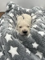 processed/ca61e9e8-a836-4b57-af05-270533d144a5/listing/08fb7902-d32a-4769-8d61-06f0521a8006/e74aef1d-f329-41c8-9231-2a0cc6fd72ba