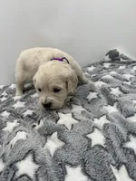 processed/ca61e9e8-a836-4b57-af05-270533d144a5/listing/1430b811-410b-4b76-b951-88be7743be28/85e0758a-c0fd-4975-9b0d-6f70530e3500