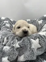 processed/ca61e9e8-a836-4b57-af05-270533d144a5/listing/1430b811-410b-4b76-b951-88be7743be28/c57f120f-f240-4927-8304-0e0571f19db9