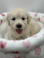 processed/ca61e9e8-a836-4b57-af05-270533d144a5/listing/1430b811-410b-4b76-b951-88be7743be28/c8b6c8da-b389-45a0-ba17-8b897eaa6641