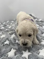 processed/ca61e9e8-a836-4b57-af05-270533d144a5/listing/1430b811-410b-4b76-b951-88be7743be28/d29c3ed7-582d-45dc-b132-4bb4678d8542