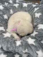 processed/ca61e9e8-a836-4b57-af05-270533d144a5/listing/1430b811-410b-4b76-b951-88be7743be28/e86f7791-2b5f-4348-abdb-7fc18187c61f