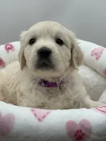 processed/ca61e9e8-a836-4b57-af05-270533d144a5/listing/1430b811-410b-4b76-b951-88be7743be28/e8d2d238-f11d-4053-8c34-1e0b287b6714