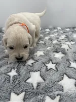 processed/ca61e9e8-a836-4b57-af05-270533d144a5/listing/3cfd7ac4-6196-41a9-9eae-f7052858e3d3/2fdca21e-5a05-4b88-8498-cc2ab3e14db5