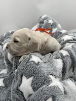 processed/ca61e9e8-a836-4b57-af05-270533d144a5/listing/3cfd7ac4-6196-41a9-9eae-f7052858e3d3/c93f633f-5a57-434b-9714-316bfc3a9d32