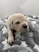 processed/ca61e9e8-a836-4b57-af05-270533d144a5/listing/3d6a70a3-dd47-4247-86bf-6c8bb513b5ed/42a8de73-151b-4ccf-8151-5a29e2d36ce5