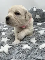 processed/ca61e9e8-a836-4b57-af05-270533d144a5/listing/3d6a70a3-dd47-4247-86bf-6c8bb513b5ed/9f60d3a3-25f7-4361-9def-6bef8c16ccfa