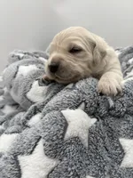 processed/ca61e9e8-a836-4b57-af05-270533d144a5/listing/3d6a70a3-dd47-4247-86bf-6c8bb513b5ed/e90a6331-2503-44ee-9c62-9cacab6ab3a0