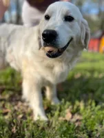 processed/ca61e9e8-a836-4b57-af05-270533d144a5/listing/4b2faf94-b919-4378-8829-bd2e71442e5e/b064ec2e-bbca-4c33-8922-6d4127933073