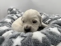 processed/ca61e9e8-a836-4b57-af05-270533d144a5/listing/4b2faf94-b919-4378-8829-bd2e71442e5e/e9dce8b2-ae59-4ef3-9284-f53e3b4a2f82