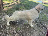 processed/ca61e9e8-a836-4b57-af05-270533d144a5/listing/53fa209e-6b91-4a5d-83b1-0c291a8a2eaf/35babe91-30a0-4fb3-b452-1520a2b22931