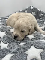 processed/ca61e9e8-a836-4b57-af05-270533d144a5/listing/53fa209e-6b91-4a5d-83b1-0c291a8a2eaf/3b0432e5-78b4-4284-9a03-34daeb2157f0