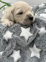 processed/ca61e9e8-a836-4b57-af05-270533d144a5/listing/53fa209e-6b91-4a5d-83b1-0c291a8a2eaf/e802eef7-b24b-46a2-84a3-5876e223312f