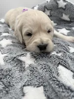 processed/ca61e9e8-a836-4b57-af05-270533d144a5/listing/6962cbea-c07c-4888-9601-dde9f7007444/14ddbff7-de19-4d08-9d6b-0a66dc51b900