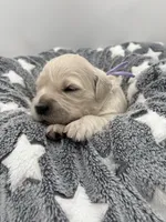 processed/ca61e9e8-a836-4b57-af05-270533d144a5/listing/6962cbea-c07c-4888-9601-dde9f7007444/9d41a8f2-73b5-4669-adcd-9beae4fc11fe