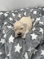 processed/ca61e9e8-a836-4b57-af05-270533d144a5/listing/6962cbea-c07c-4888-9601-dde9f7007444/e844042e-6a7b-4525-ab5d-44244b743e4e