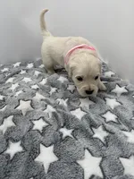 processed/ca61e9e8-a836-4b57-af05-270533d144a5/listing/7107f0c8-6402-49ba-8385-5f51c78dbc90/0c4b361d-07e9-4859-acf5-97f91d17b04d