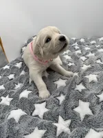 processed/ca61e9e8-a836-4b57-af05-270533d144a5/listing/7107f0c8-6402-49ba-8385-5f51c78dbc90/2453e4a0-eb9b-449f-8bbb-55bd38342fea