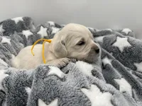 processed/ca61e9e8-a836-4b57-af05-270533d144a5/listing/9a4e2a27-1521-4b8d-b8c6-706c76eb624f/810e995e-48e2-4954-a608-c5d5f1440a58