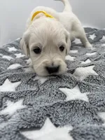 processed/ca61e9e8-a836-4b57-af05-270533d144a5/listing/9a4e2a27-1521-4b8d-b8c6-706c76eb624f/8b4f0b0f-13a3-4dd5-9481-59e4656974bc