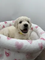 processed/ca61e9e8-a836-4b57-af05-270533d144a5/listing/9a4e2a27-1521-4b8d-b8c6-706c76eb624f/976e313e-d30b-4916-bdb3-4d9575cc6caa