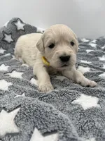 processed/ca61e9e8-a836-4b57-af05-270533d144a5/listing/9a4e2a27-1521-4b8d-b8c6-706c76eb624f/ad69089e-23fd-4610-98e2-ce0d5eb13803