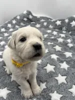 processed/ca61e9e8-a836-4b57-af05-270533d144a5/listing/9a4e2a27-1521-4b8d-b8c6-706c76eb624f/dcfa0eb4-b5a7-46f4-91b7-11df720adcb2