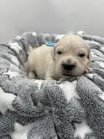 processed/ca61e9e8-a836-4b57-af05-270533d144a5/listing/b4fdef9b-4c9e-4d70-8c1d-ffa455897bc7/97a1ba38-faff-457c-a179-3d5ae5fd95b0