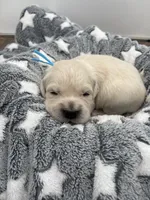 processed/ca61e9e8-a836-4b57-af05-270533d144a5/listing/b4fdef9b-4c9e-4d70-8c1d-ffa455897bc7/ecfcb4a5-0417-433a-a4b4-2d822d4efaaa