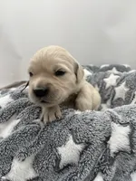 processed/ca61e9e8-a836-4b57-af05-270533d144a5/listing/c4f8dc40-10b6-426f-b967-44b0f6d82fd0/053d7777-0159-4cda-b7bd-23e5046292ef