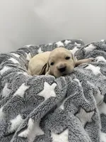 processed/ca61e9e8-a836-4b57-af05-270533d144a5/listing/c4f8dc40-10b6-426f-b967-44b0f6d82fd0/4a6215af-3b2c-41b9-9cd1-c77cdcb5e6f4