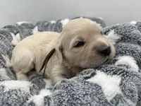 processed/ca61e9e8-a836-4b57-af05-270533d144a5/listing/c4f8dc40-10b6-426f-b967-44b0f6d82fd0/4c74d20d-6b40-443e-ad98-a1da6ce8ae79