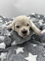 processed/ca61e9e8-a836-4b57-af05-270533d144a5/listing/e7b7b4e8-c3c5-49db-985c-2babb575fd54/6e465ae4-d369-4aba-b063-8c9c28272919