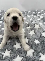 processed/ca61e9e8-a836-4b57-af05-270533d144a5/listing/e7b7b4e8-c3c5-49db-985c-2babb575fd54/800bbd24-91fb-4335-8c21-cd8137a871a5