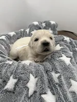 processed/ca61e9e8-a836-4b57-af05-270533d144a5/listing/e7b7b4e8-c3c5-49db-985c-2babb575fd54/8b0a445d-72c0-44f0-b709-8deb423f6d2e