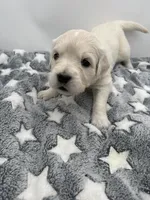 processed/ca61e9e8-a836-4b57-af05-270533d144a5/listing/e7b7b4e8-c3c5-49db-985c-2babb575fd54/93056e7b-f2b2-4c89-b867-761c5ada2296