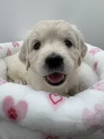 processed/ca61e9e8-a836-4b57-af05-270533d144a5/listing/e7b7b4e8-c3c5-49db-985c-2babb575fd54/d62145a2-147d-40c9-8c48-d25a6ad854d4