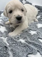 processed/ca61e9e8-a836-4b57-af05-270533d144a5/listing/e7f72d42-61b6-4e60-afc5-7eb4d4de3e72/3e6c25af-1918-465a-b12e-becf129bb382