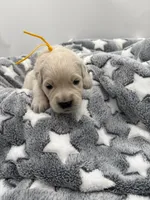 processed/ca61e9e8-a836-4b57-af05-270533d144a5/listing/e7f72d42-61b6-4e60-afc5-7eb4d4de3e72/8356119f-229e-49c8-96ec-92e40ce1db91