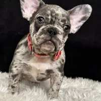 processed/ca672d59-d533-4019-939d-9e617b638150/facility/25df47d4-f89b-4b3d-8b9b-7112e60f09a9