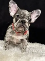 processed/ca672d59-d533-4019-939d-9e617b638150/facility/25df47d4-f89b-4b3d-8b9b-7112e60f09a9